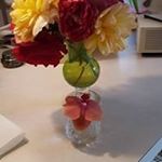 Profile Picture of Rose Maples (@maples.rose) on Instagram