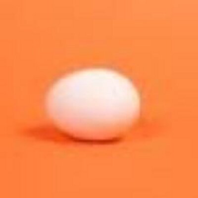 Profile Picture of Tom Sanchez (@FakeTomSanchez) on Twitter