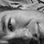 Profile Picture of Jean-francois Gagnon (@jclimber) on Flickr