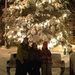 Profile Picture of Steven Distler (@distler0109) on Pinterest