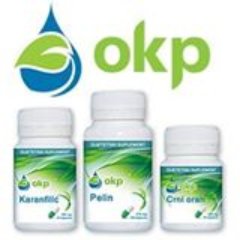 Profile Picture of Dejan Stefanović (@OKPSerbia) on Twitter