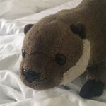 Profile Picture of George Badger (@erictheotter1230) on Instagram