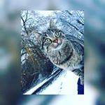 Profile Picture of Laura Oehring (@lauraoehring) on Instagram