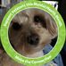 Profile Picture of Ginger Roush (@ginger.roush) on Facebook