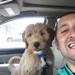 Profile Picture of Michael DePerro (@mdeperro3) on Instagram