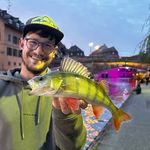 Profile Picture of Julian Ohnemus (@oh_jewlz_fishin) on Instagram