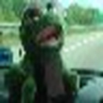 Profile Picture of John & Jiejie (@john & jiejie) on Flickr