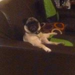 Profile Picture of luis manuel higareda ayard (@luismanuelhigareda) on Instagram