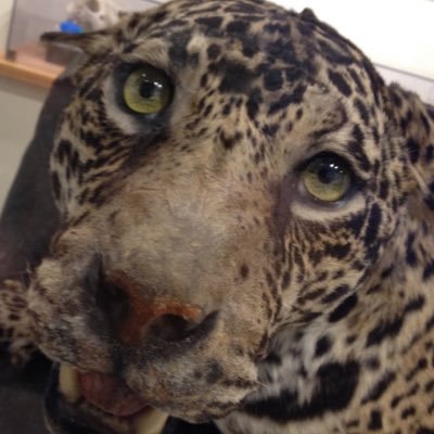 Profile Picture of Nick Cramer (@NickC4ramer) on Twitter