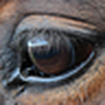 Profile Picture of Gordon Smith (@gwsmith1970) on Flickr