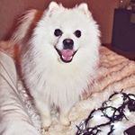 Profile Picture of Richard_Karol (@richard_karol) on Instagram