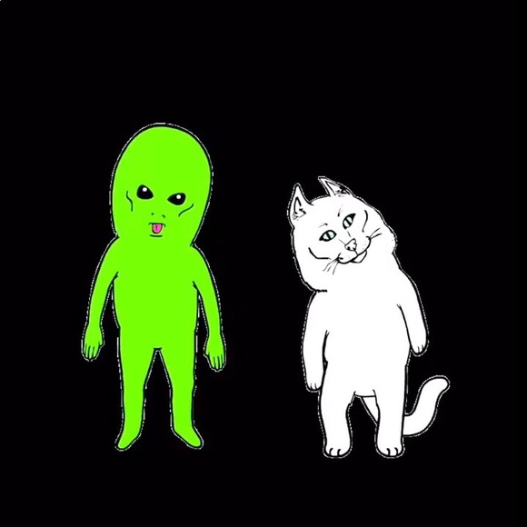 Profile Picture of Kenyon Berzewski (@kenyonberzewski) on Poshmark