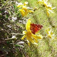 Profile Picture of Richard V. (@richi_munoz) on Pinterest