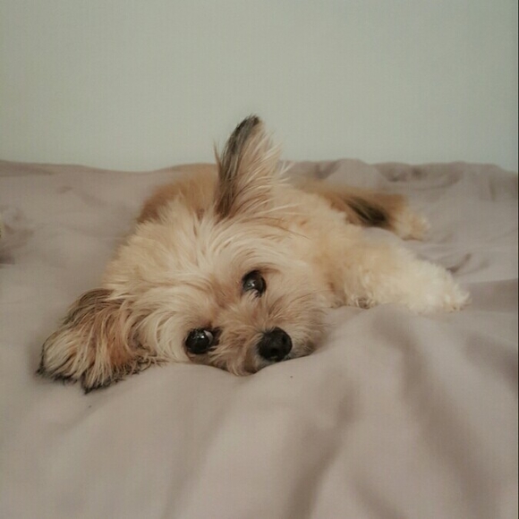 Profile Picture of Yujung Kim (@yujung121212) on Poshmark