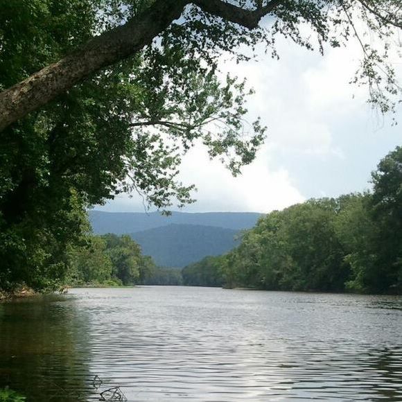 Profile Picture of Heidi Blaser (@heidi_be) on Poshmark