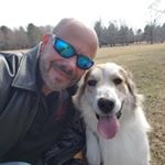 Profile Picture of Steven Maly (@sharck68) on Instagram