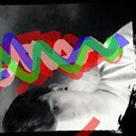 Profile Picture of Bradley (@bradleysquires97) on Instagram