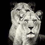 Profile Picture of dillon lauderback (@dillionlauderback) on Instagram