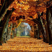 Kyra Weaver - Youtube Profile Picture of Kyra Weaver (@kyraweaver8958) on Youtube