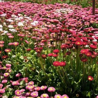 Profile Picture of Xiaoxia Gao (@xiaoxia.gao.9) on Facebook