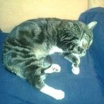 Profile Picture of Michael Bothmann (@michaelbothmann) on Instagram