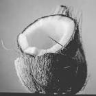 Profile Picture of   Day 2 Mexico City in... (@hugothefoodie) on Tiktok