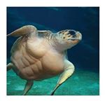 Profile Picture of Juli❤ (@littleweirdo111) on Instagram