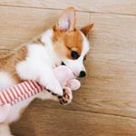 Kimi Wong - Instagram Profile Picture of Kimi Wong (@kimiwongbb) on Instagram