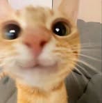 Profile Picture of Mary Cordova (@mary.cordova.532685) on Facebook