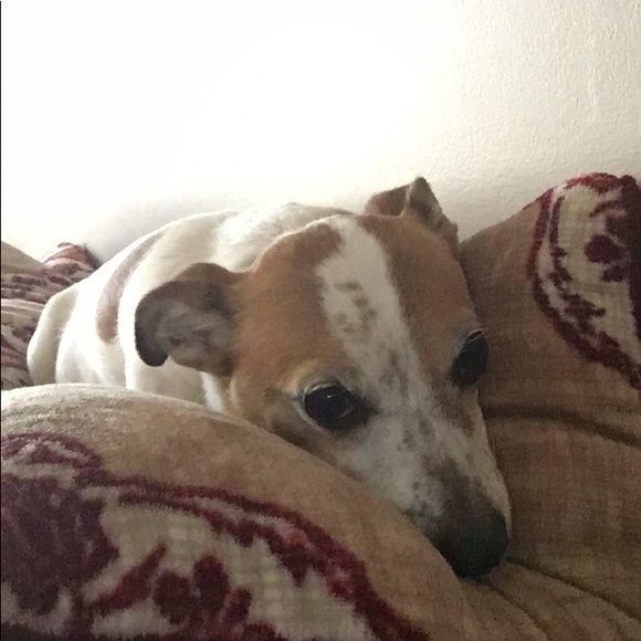 Profile Picture of Cindy Conney (@mconney) on Poshmark