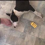 Profile Picture of Kevin Wilkinson (@kevin.w980) on Instagram