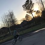 Profile Picture of Matthew Dial (@matthew_sk8_boy) on Instagram