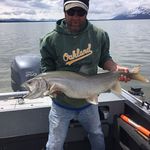Profile Picture of Thomas Ralston (@americatowncustomrods) on Instagram