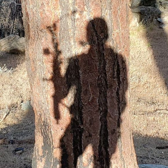 Profile Picture of Jason Barron (@jason_barron) on Poshmark