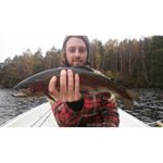 Profile Picture of David Alger (@donutdave) on Instagram