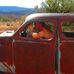 Profile Picture of Jason Kemper (@jason.kemper.10) on Facebook