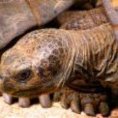 Profile Picture of Joshua Ericksen (@joshuarericksen) on Twitter