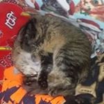 Profile Picture of William Clennon (@williamclennon) on Instagram