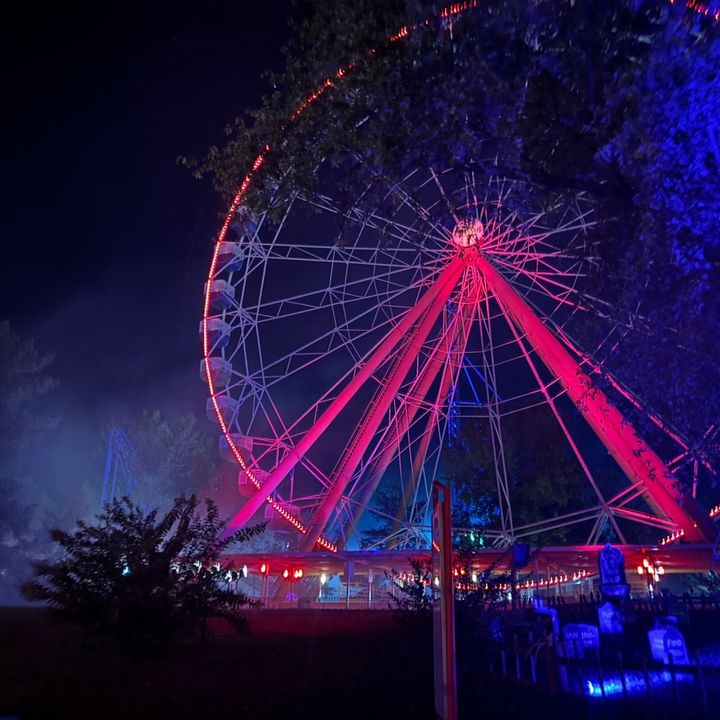 Profile Picture of Lily Machens (@lily.machens4) on Tiktok