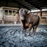 Profile Picture of Garrett Horton (@garretthorton11) on Instagram