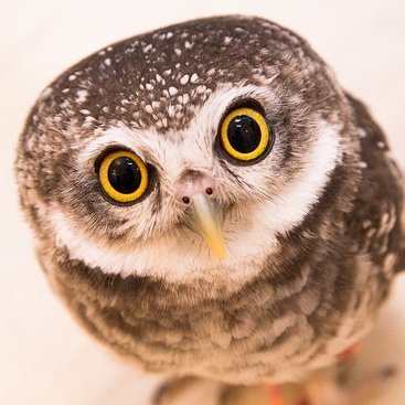 Profile Picture of Bob Sayer (@BobSayer3) on Twitter