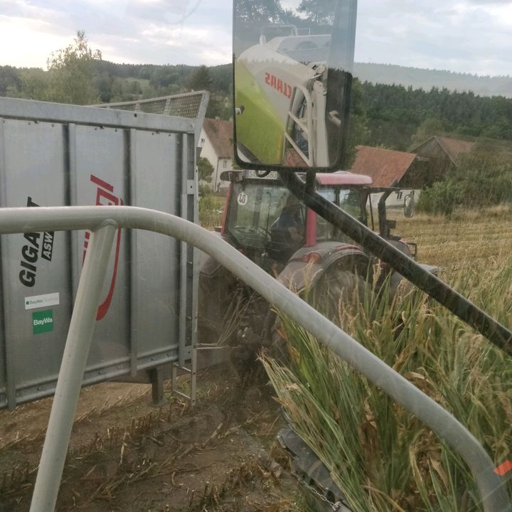 Profile Picture of D.A.V.I.D.00 (@david.prey333) on Tiktok