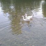 David Dolinar - Instagram Profile Picture of David Dolinar (@david.dolinar.50) on Instagram