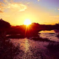 Profile Picture of Barrie Bridgers (@barrie-bridgers) on Quora