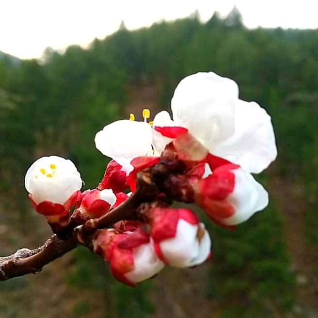 Profile Picture of JohnHolt (@johnholtaxljvt) on Tiktok