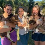 Profile Picture of Avery Pollock (@averynpollock1004) on Instagram