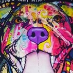 Profile Picture of superman (@quinnjeremiah744) on Instagram