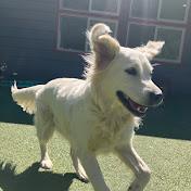 Profile Picture of Nancy Casey (@nancycasey7158) on Youtube