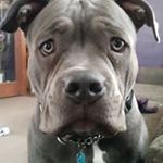 Profile Picture of Roger Rutter (@roger.rutter.96) on Instagram