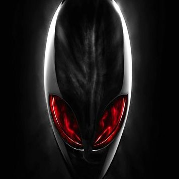 Profile Picture of Bradley Lindberg (@LindbergBradley) on Twitter